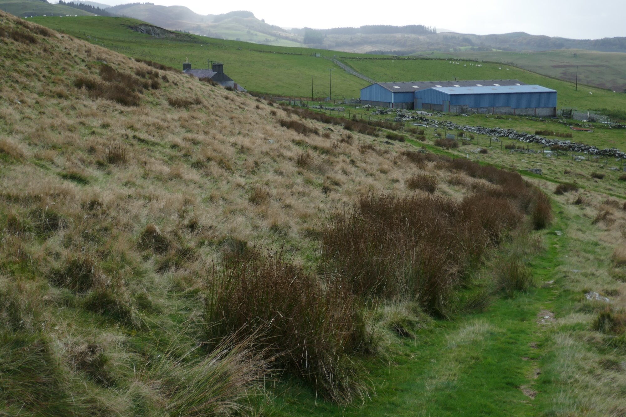 RachelSeabrook.net | Wild Walking | Teifi Pools | pic40